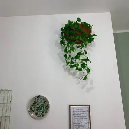 아파트 
